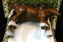 horse apes view